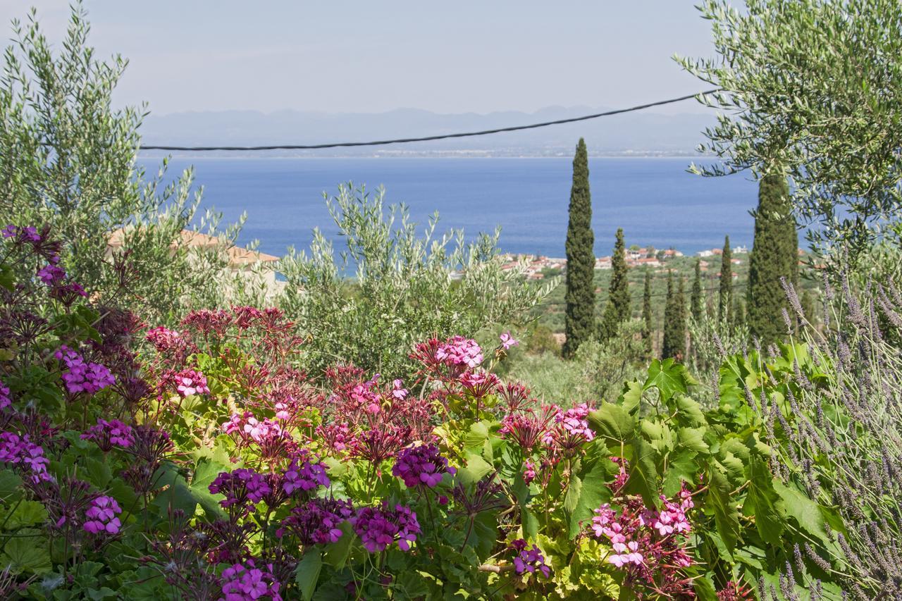 Ellinas Homes Megali Mantineia Екстериор снимка